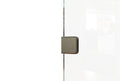 2100 Series 23 in. W x 76 in. H Frameless Shower Screen