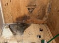 Image Before